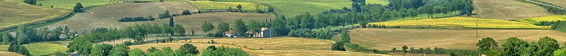 Allegria Allegria