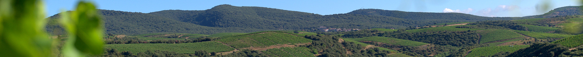 Château de la Liquière Château de la Liquière