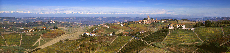 Giacosa Bruno Srl Bruno Giacosa