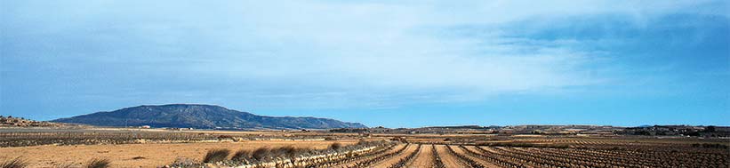 Artadi Artadi
