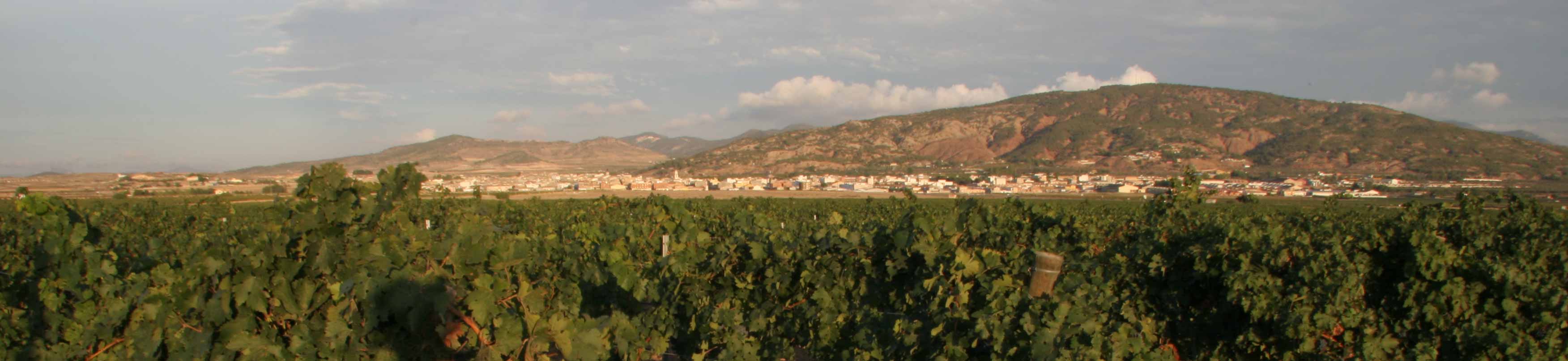 Bodegas y Viñedos El Seque El Seque - Artadi