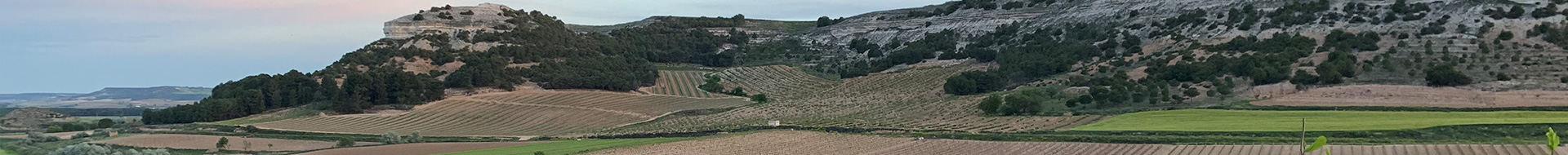 Yllera Yllera