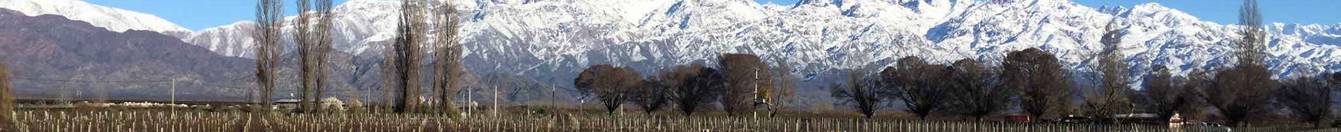 Mendel Wines Mendel Wines