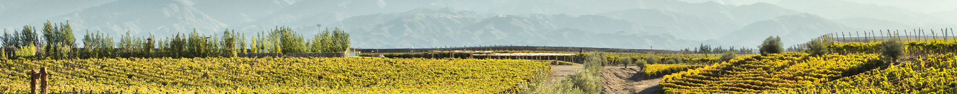 Bodega Monte Quieto Bodega Monte Quieto