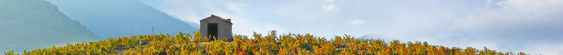 Domaine des Creisses Domaine des Creisses