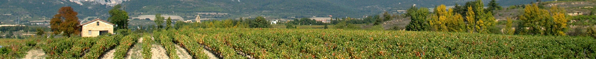 Luis Cañas Luis Cañas