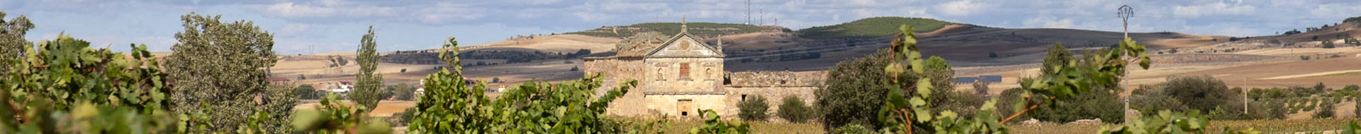 Bodegas Cenit Bodegas Cenit