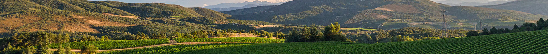 Domaine de Baronarques Domaine de Baronarques
