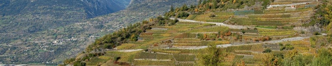 Image of Cave St-Pierre