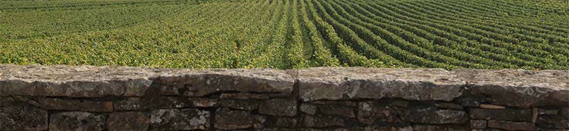 Joseph Drouhin