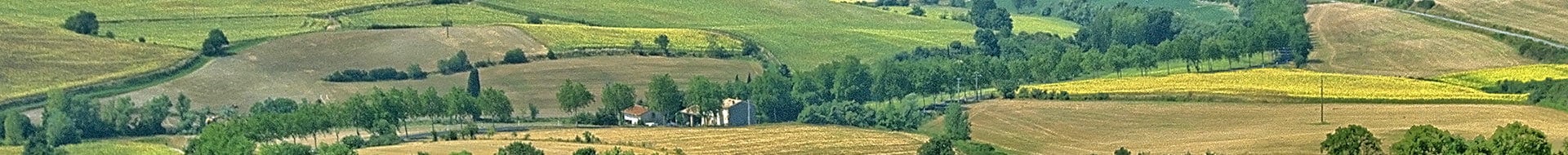 Domaine de L'Agly