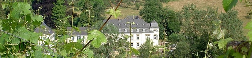 Egon Müller-Scharzhof