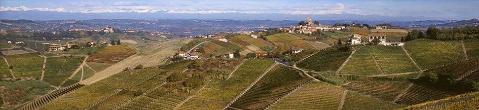 Image of Bruno Giacosa Image of Bruno Giacosa
