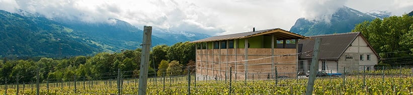 Image of Gantenbein
