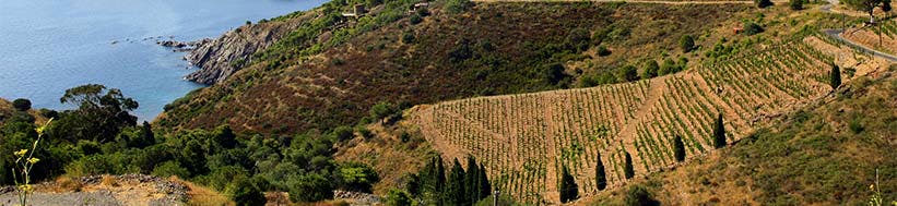 Image of Clos Mogador