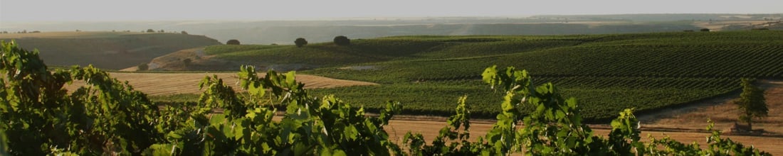 Image of Montecastro