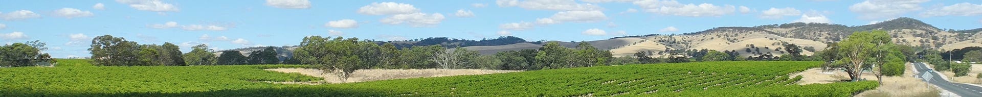 Image of Penfolds