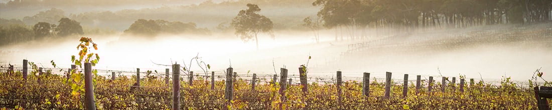 Penfolds