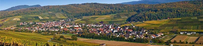 Pfaffenweiler