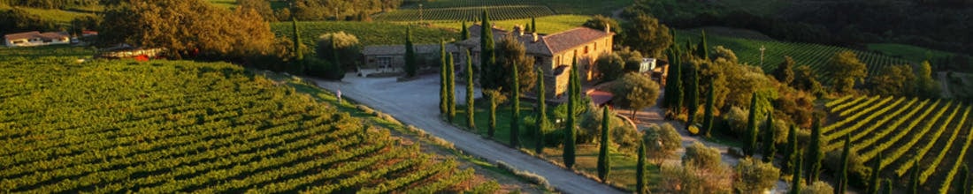Image of San Polo-Allegrini Poggio San Polo