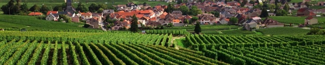 Château Pouilly
