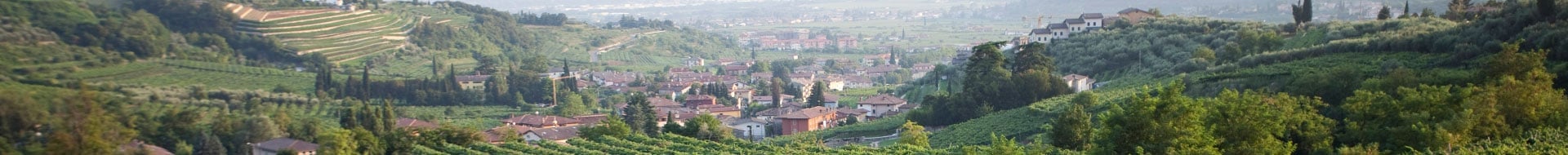 Righetti