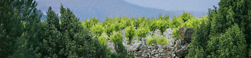 Miraval