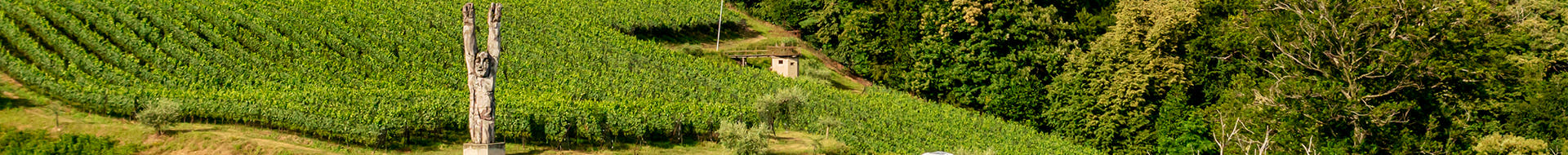 Image of Tamborini Image of Tamborini