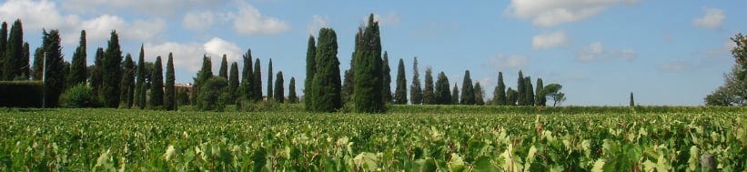 Image of Antinori Image of Antinori
