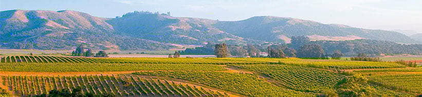 Caymus