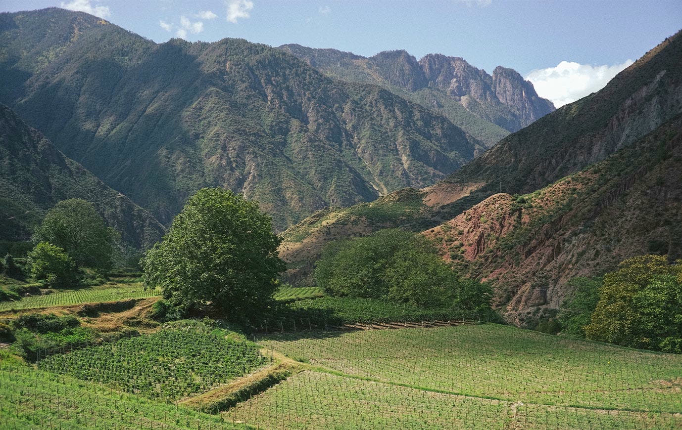 Chine