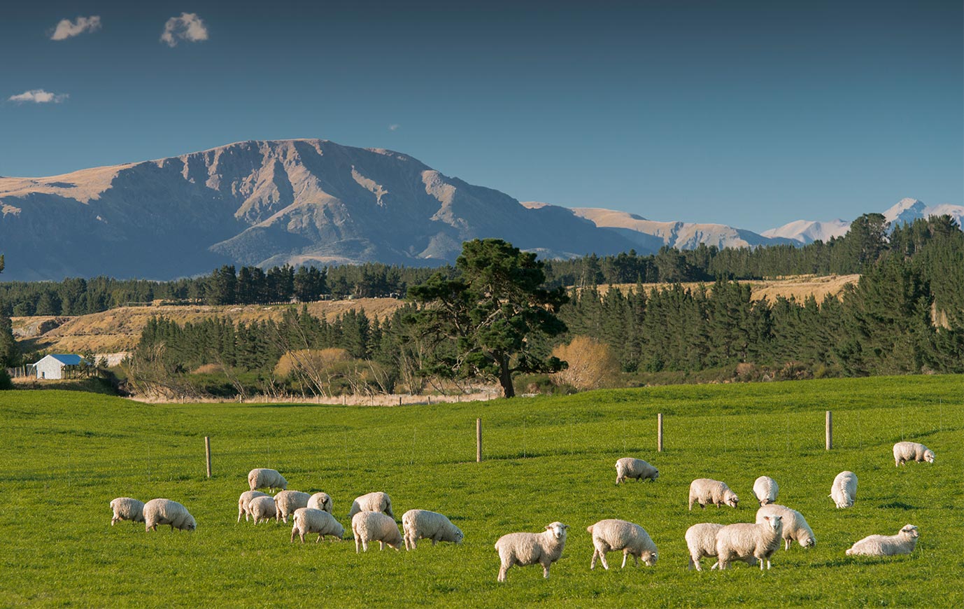 Image of Nouvelle-Zélande